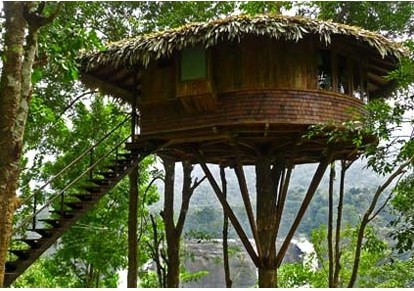 Get up on a tree house this weekend!